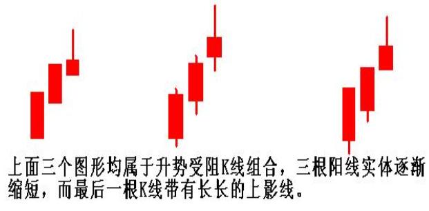 自动草稿 自动草稿